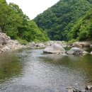 고동골펜션