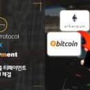 티페이먼트 이미지