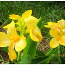 한강 자전거도로8 이미지