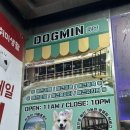 도그민 | 광안리 강아지 카페 도그민 다녀온 솔직 후기 ㅠㅠ