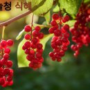 동북농축