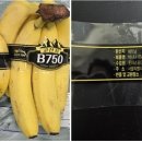 롯데쇼핑(주) 롯데마트사업본부 이미지