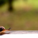 그대그리고나 이미지