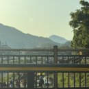 여행 #2일차: 완산칠봉꽃동산, 도깨비 새벽시장, 청연루, 왱이콩나물국밥, 오목대, 전주항교, 히포파운드