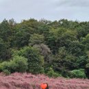 원영목장 이미지