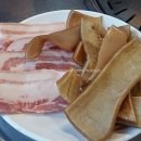 해오름껍데기 이미지