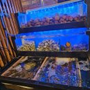 조개먹고돼지먹고 이미지