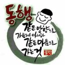 새만금 청보리농장 이미지