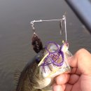 광신대교 이미지