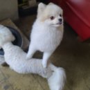 멍스테이션 이미지