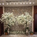 천년부페웨딩홀 | 하객 홀투어: CN천년부페웨딩홀 주안점(주차, 식사 후기, 홀사진)