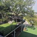 스타일 퍼피 | 김포 레드퍼피카페 운동장만 5개 스케일이 다른 김포 애견카페 솔직 후기