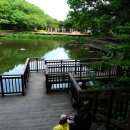 구덕산책로 숲길 이미지