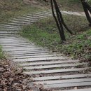 금강송에코리움(찜질방) 이미지