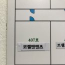 코젤앤엔츠