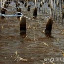 (주)신환경 이미지