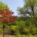 공공용 75 이미지