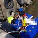 표선달채 이미지