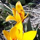 서천농장 이미지