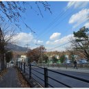 향촌추어탕 이미지