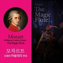 SAC ON SCREEN - 마술피리 이미지