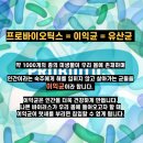 에스비 피트니스 이미지