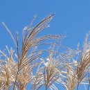 제주특별자치도지체장애인협회 서귀포시지회 이미지