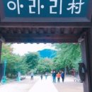 아라리촌카페