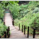 안골길 14 이미지