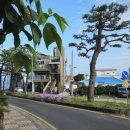 법환동-22 이미지