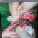 여수동물병원 이미지