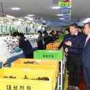 산대5리 헤럴드경제