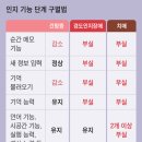 인지망