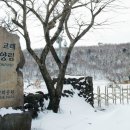 교래자연휴양림 이미지