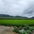 오케이부동산중개사무소 이미지