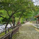 환선로 | 삼척 볼거리 놀거리 추천 대금굴 방문 후기