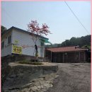 용산리 | 용산리점집 금수암 찐방문 후기! 충북에서 신점 제일 용하다는 점집 발견