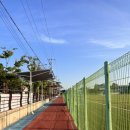 하단동1142 이미지