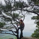 경주 남산 이미지