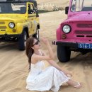 스타인목장 | 🌅 베트남 자유여행 1일차 나트랑 사막투어 후기🏜️ 양떼목장부터 선셋까지! ATV·포클롱가라이·포시즌스...