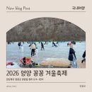 안동yes푸드 | 2026 영양 꽁꽁 겨울축제 후기 주차 소요시간