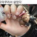 유유정보통신 | 바르게살기운동중앙협회