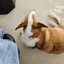 기다리다 이미지