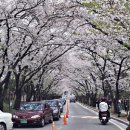 봄나들이 미술관투어 이미지