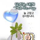 엔도르핀 이미지