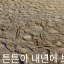 다은 펜션 이미지