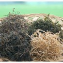 재봉농장 이미지