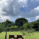 월든 | [경북 청도] 대구 근교 완전 알프스 같은 비건디저트 전문카페! 가창 근처 ‘카페월든’ 내돈내산 후기