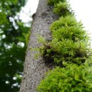 문경민박 13월의 아침 이미지