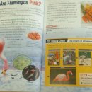 상남동240 이미지